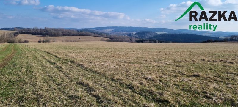 Prodej zemědělský pozemek - Tachov, 347 01, 642 424 m²