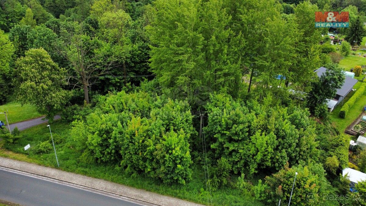 Prodej pozemek pro bydlení - Červená Voda, 561 61, 2 103 m²