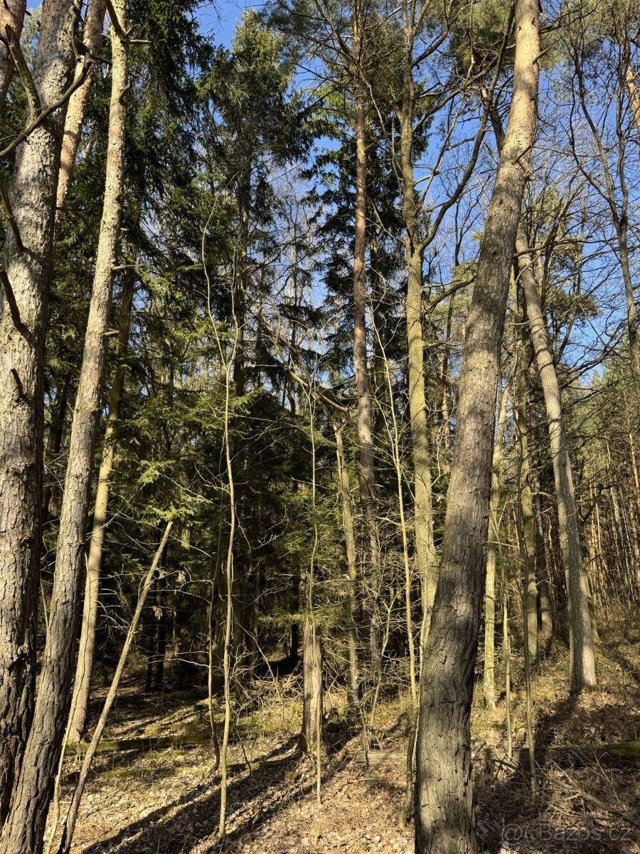 Lesy, Soběslav, 392 01, 701 m²