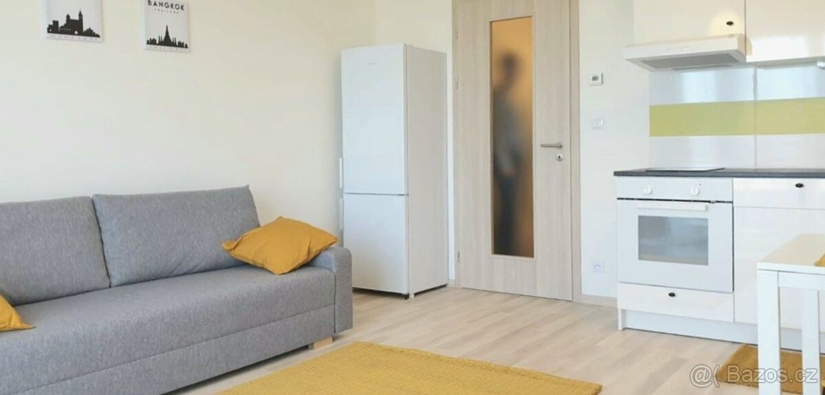Pronájem byt 1+kk - Praha, 109 00, 33 m²