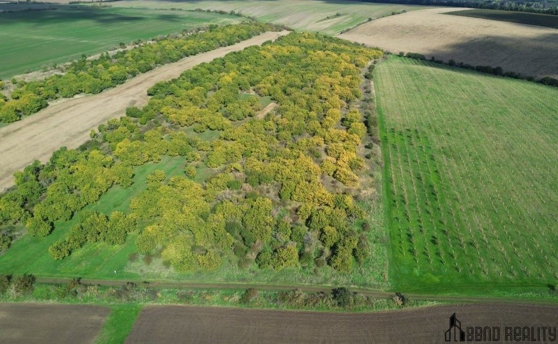 Prodej pozemek - Hustopeče, 22 292 m²