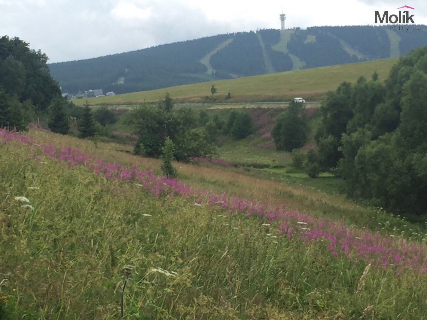 Komerční pozemky, Háj, Loučná pod Klínovcem, 8 803 m²