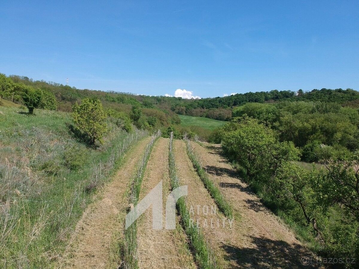 Ostatní, Křepice u Hustopečí, 691 65, 2 199 m²