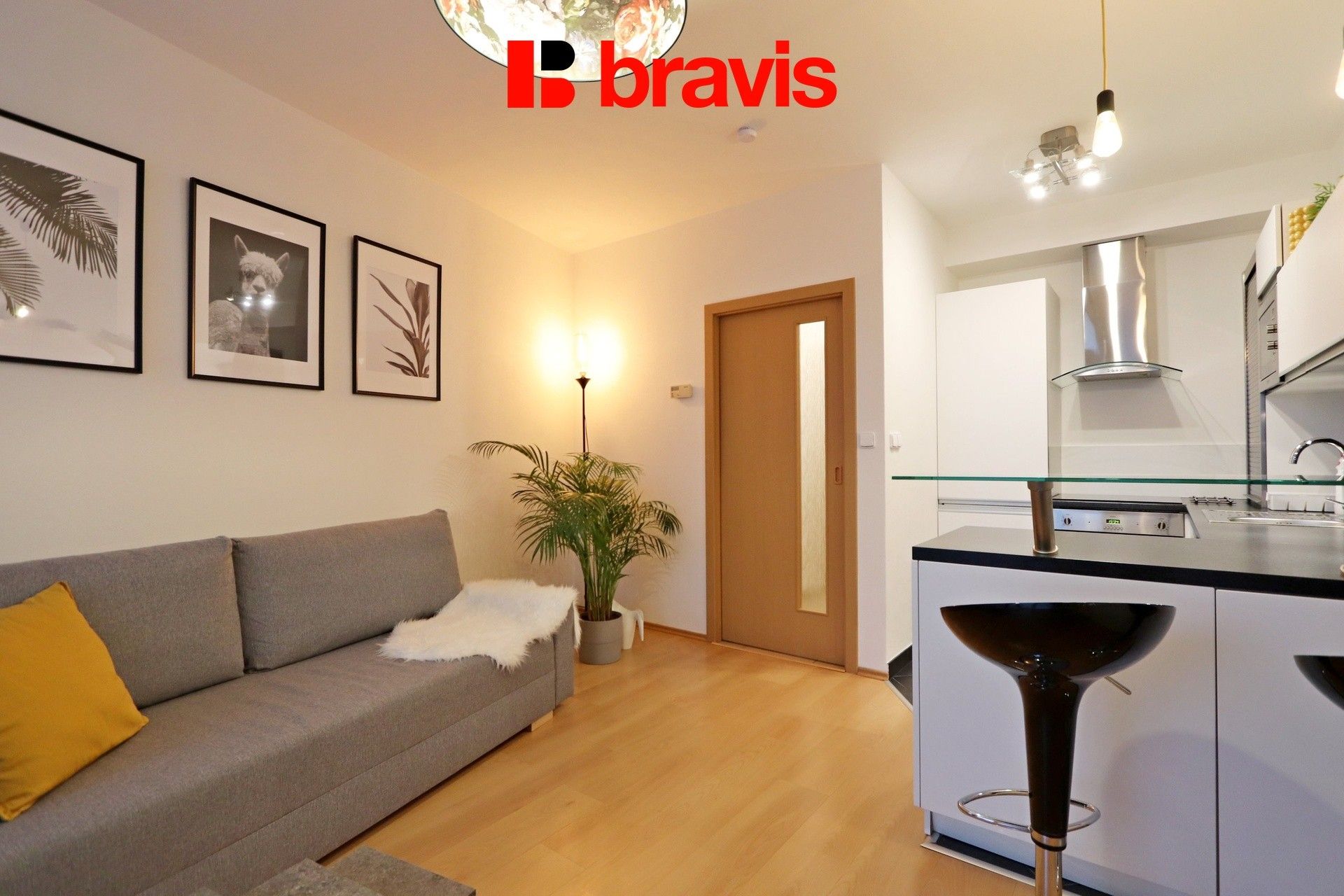 2+kk, Spálená, Brno, 50 m²