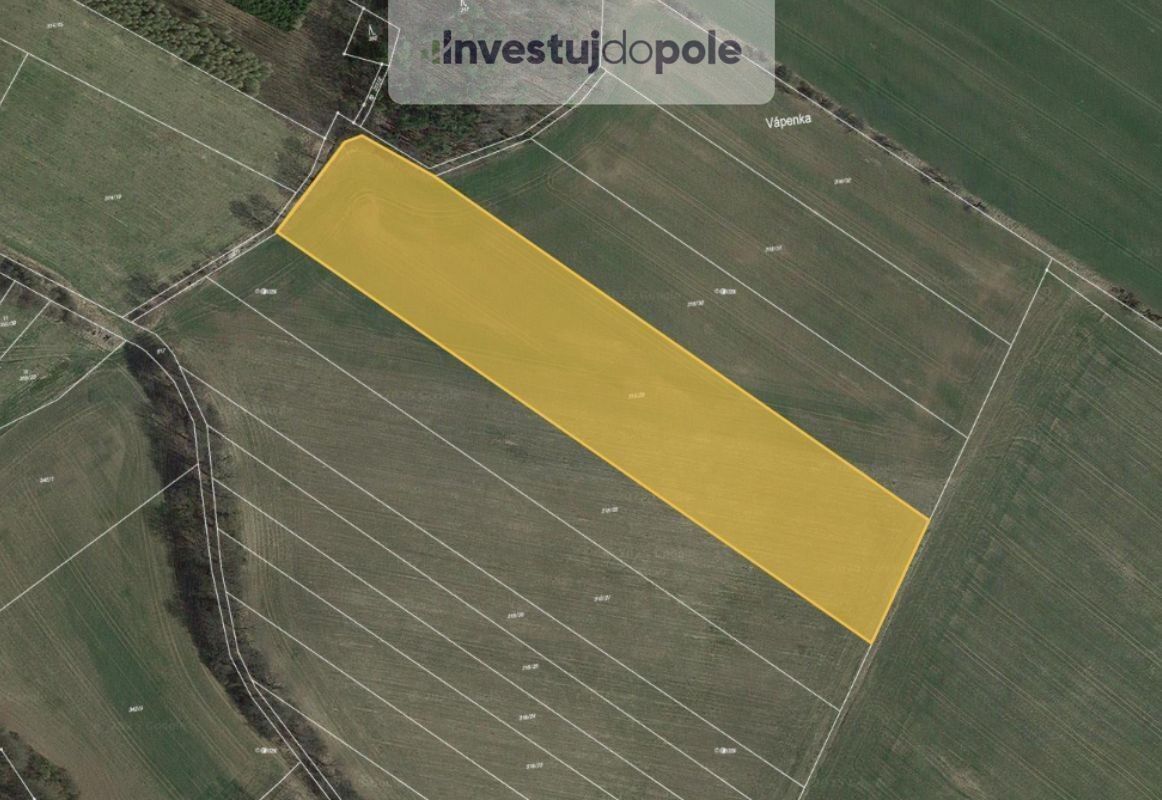 Zemědělské pozemky, Královna, Neustupov, 17 583 m²