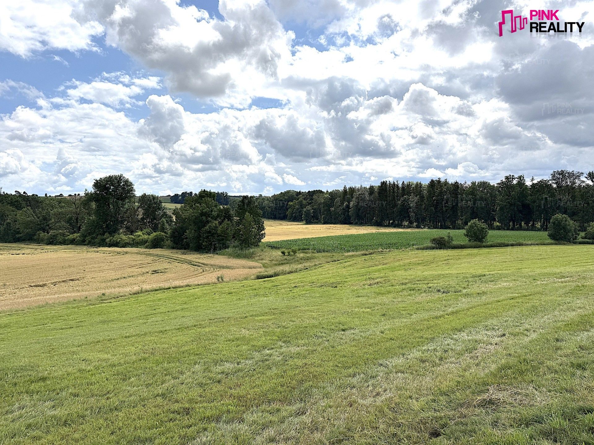 Louky, Rychnov nad Kněžnou, 16 663 m²