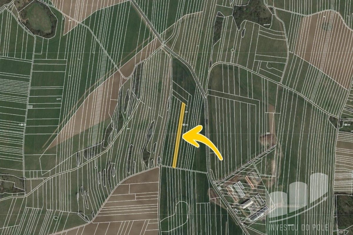 Prodej zemědělský pozemek - Ostrov u Macochy, 3 708 m²