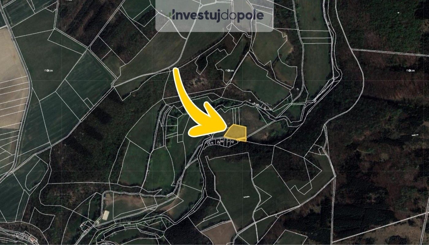 Prodej louka - Malá Lečice, Bojanovice, 4 632 m²