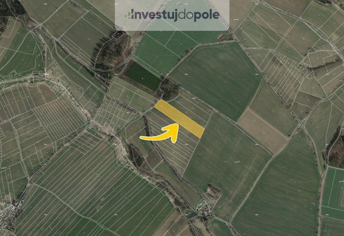 Prodej zemědělský pozemek - Královna, Neustupov, 17 583 m²