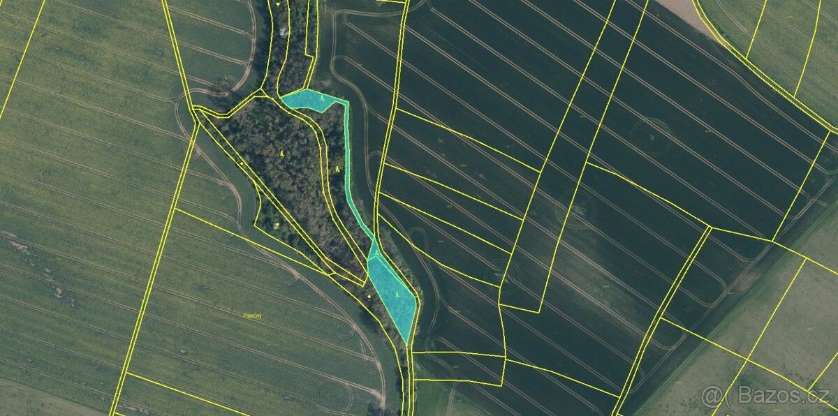 Prodej les - Mělnické Vtelno, 277 38, 1 489 m²