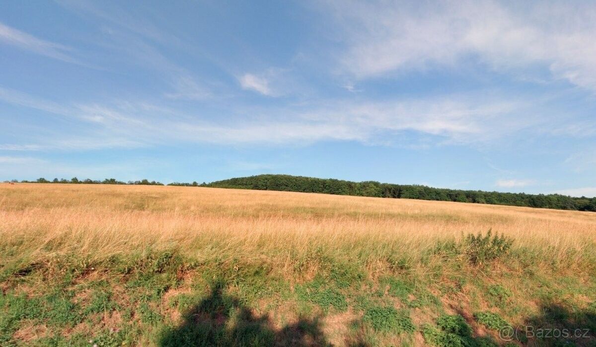 Prodej zemědělský pozemek - Březůvky, 763 45, 5 206 m²