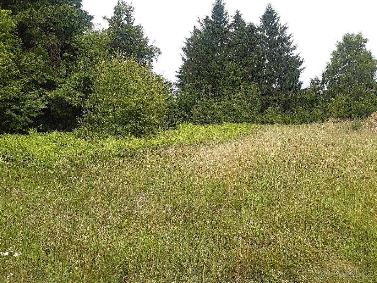 Zahrady, Nová Bystřice, 378 33, 4 664 m²