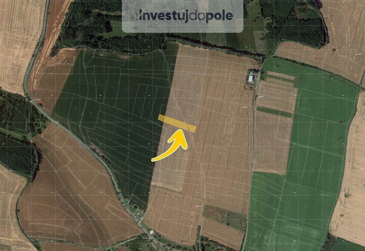 Prodej zemědělský pozemek - Bojetice, Dobrovice, 3 264 m²