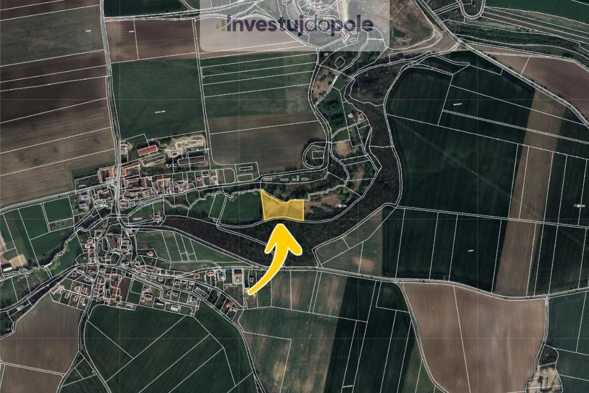 Prodej louka - Číčovice, 8 368 m²