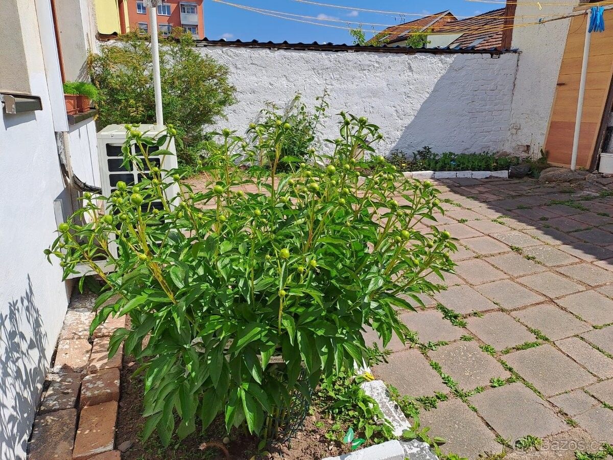 Prodej dům - Rakovník, 269 01, 100 m²