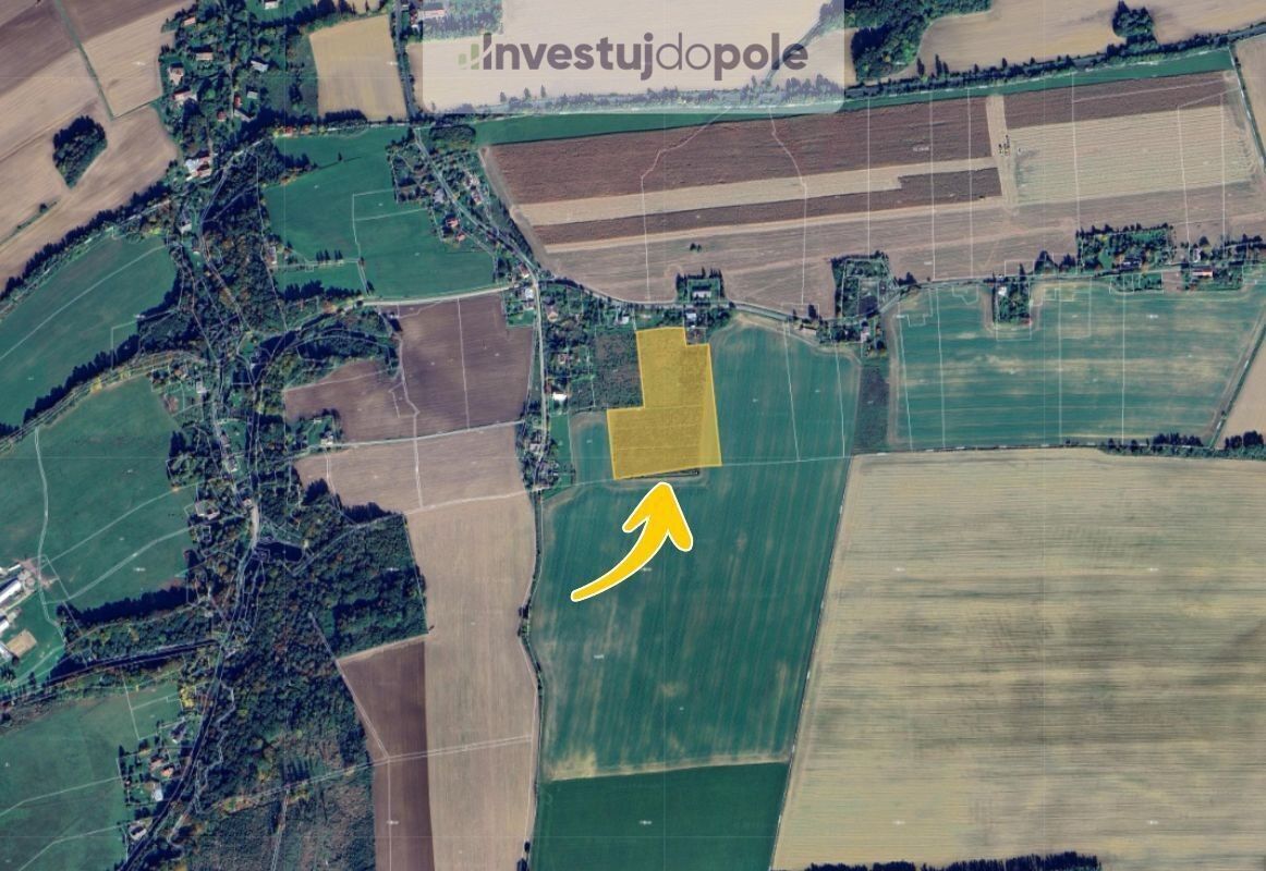 Prodej zemědělský pozemek - Kolnovice, Mikulovice, 28 555 m²