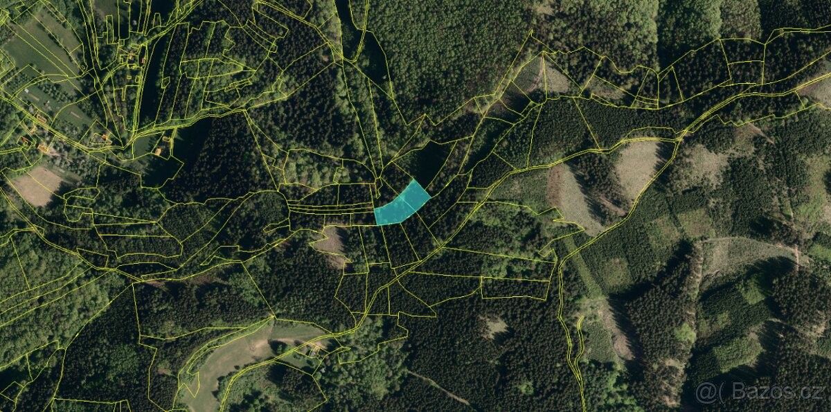 Prodej les - Valašská Polanka, 756 11, 1 721 m²