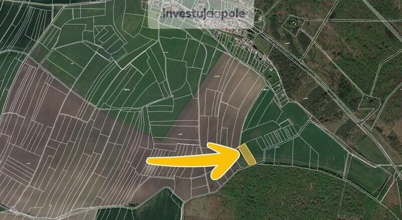 Prodej zemědělský pozemek - Chlumec nad Cidlinou, 503 51, 5 255 m²
