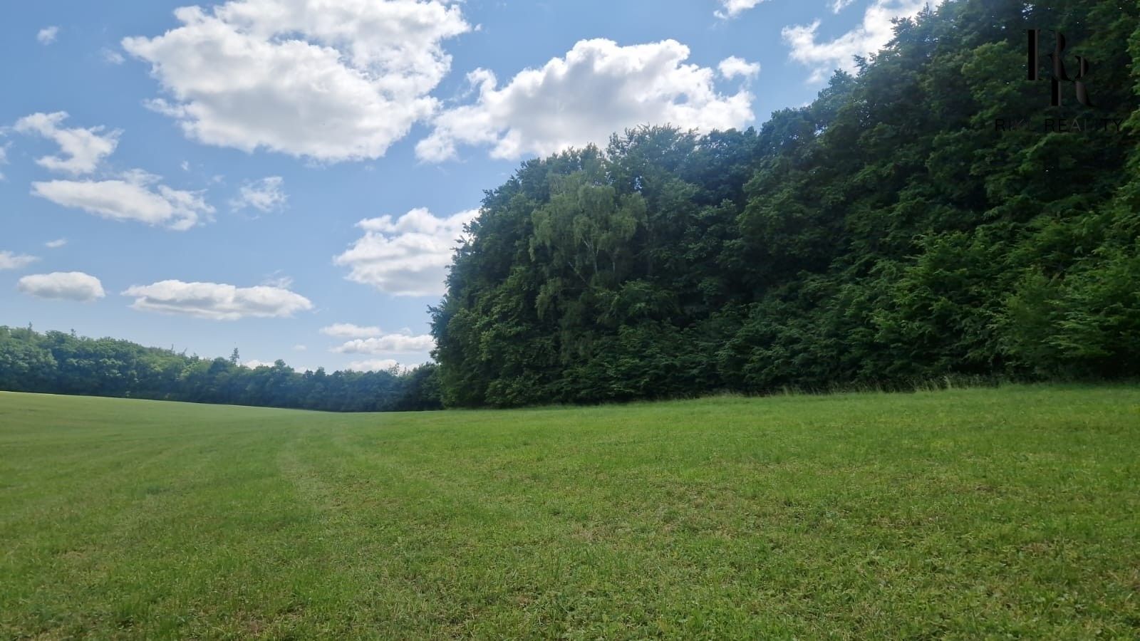 Lesy, Bílá Lhota, 2 912 m²