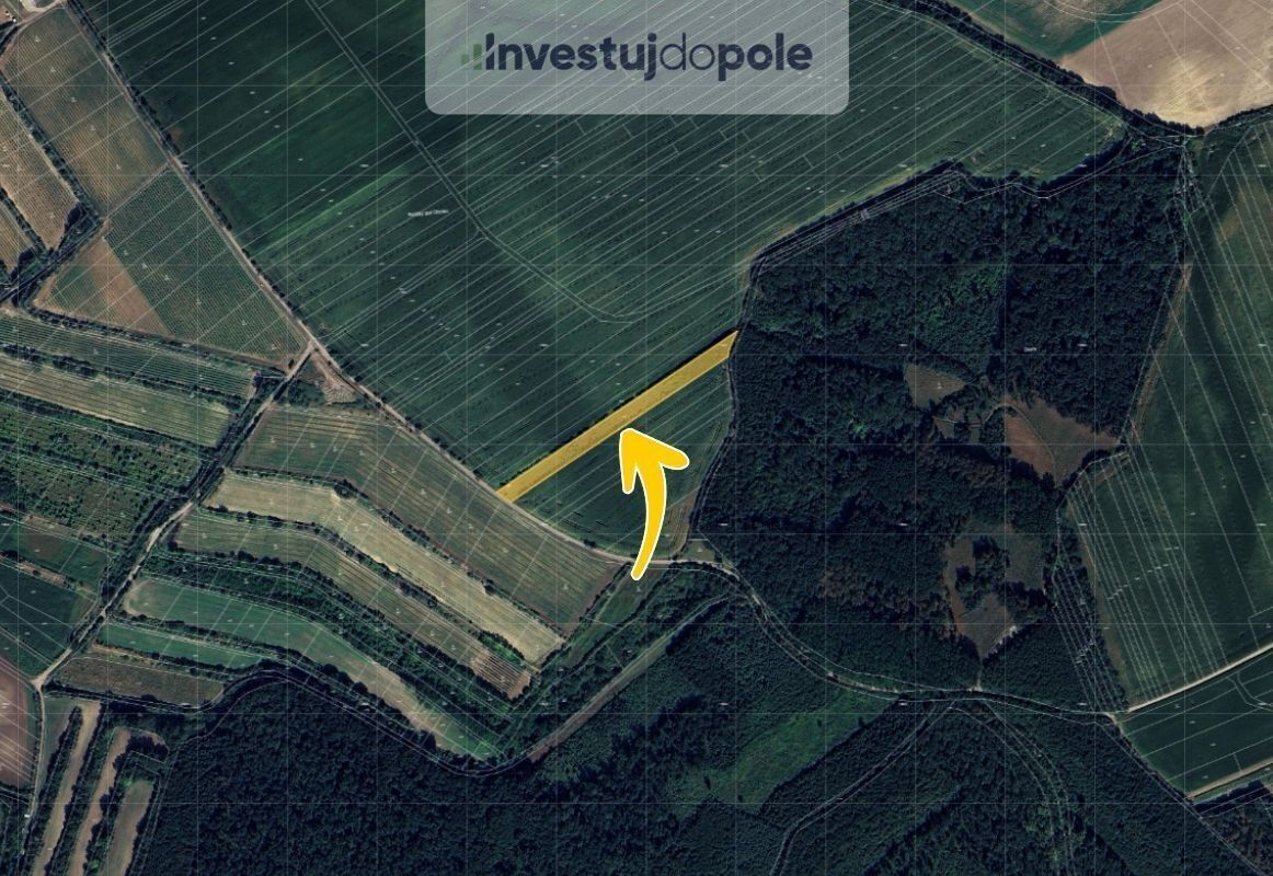 Prodej zahrada - Hovorany, 5 482 m²