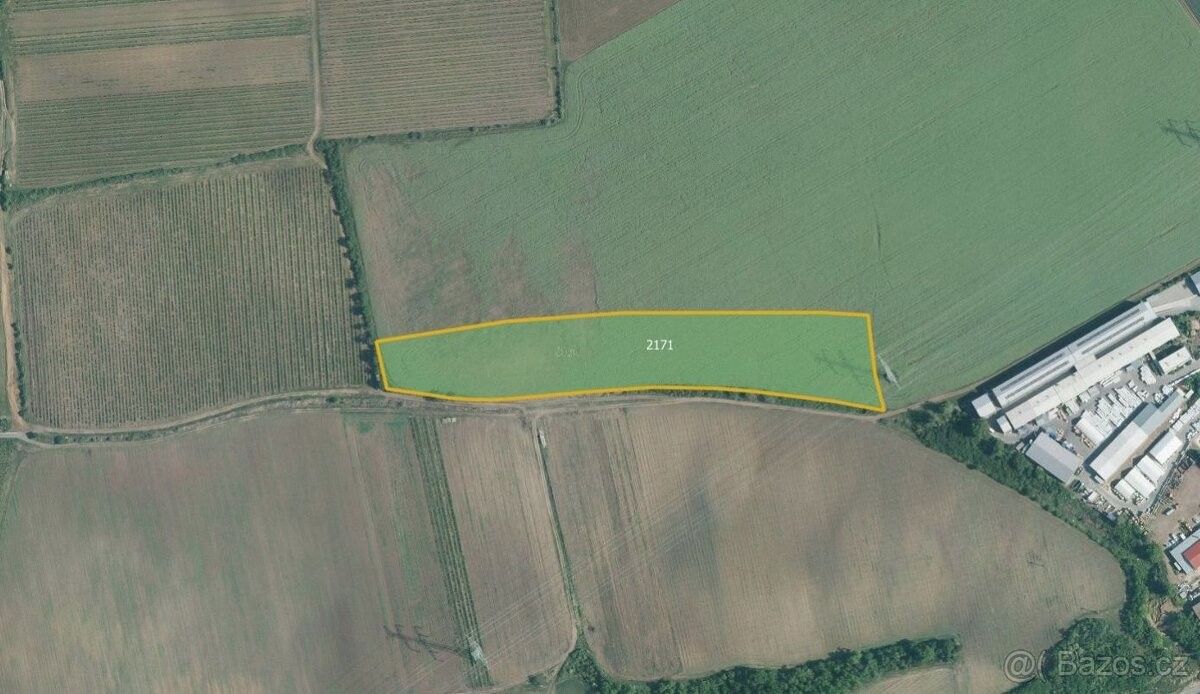 Ostatní, Němčičky u Židlochovic, 664 66, 56 000 m²