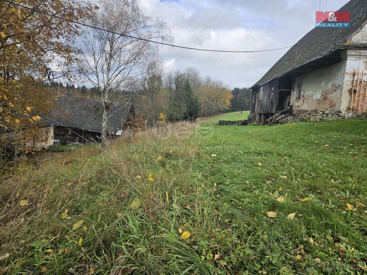 Prodej louka - Staré Město pod Sněžníkem, 788 32, 1 636 m²