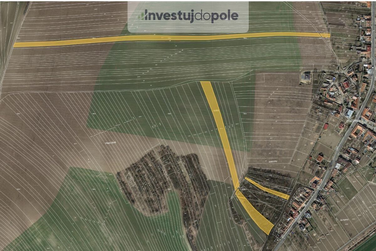 Zemědělské pozemky, Dražůvky, 23 843 m²