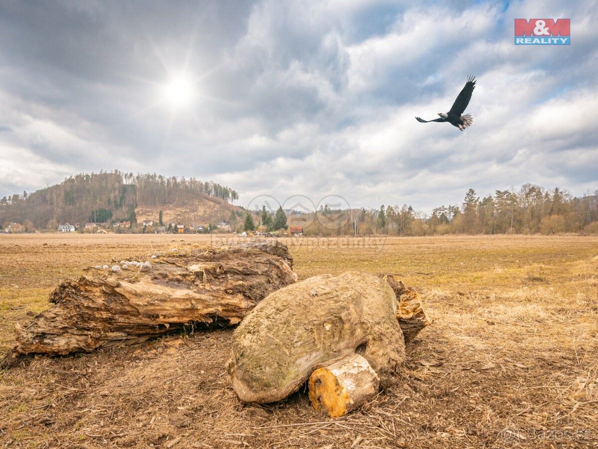 Zemědělské pozemky, Poříčí nad Sázavou, 257 21, 14 575 m²