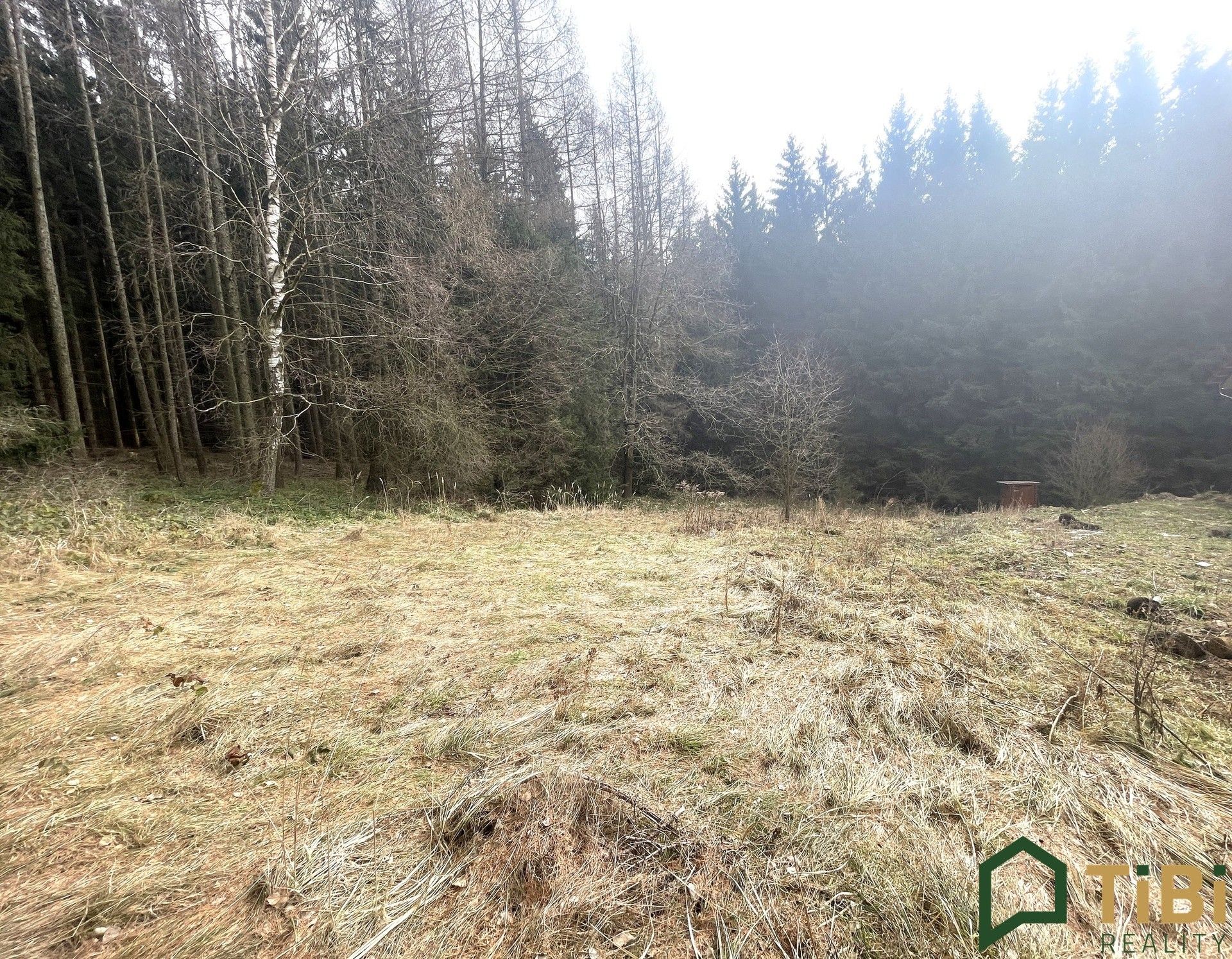 Prodej pozemek pro bydlení - Žipotín, Gruna, 1 753 m²
