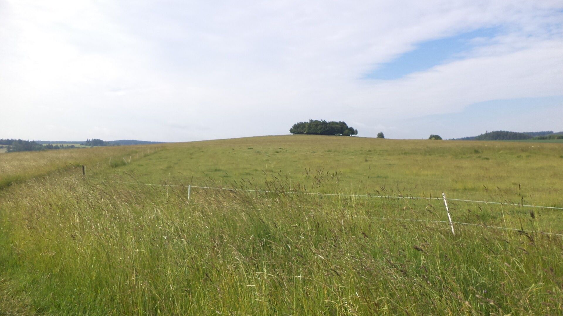 Ostatní, Horní Štěpánov, 4 031 m²