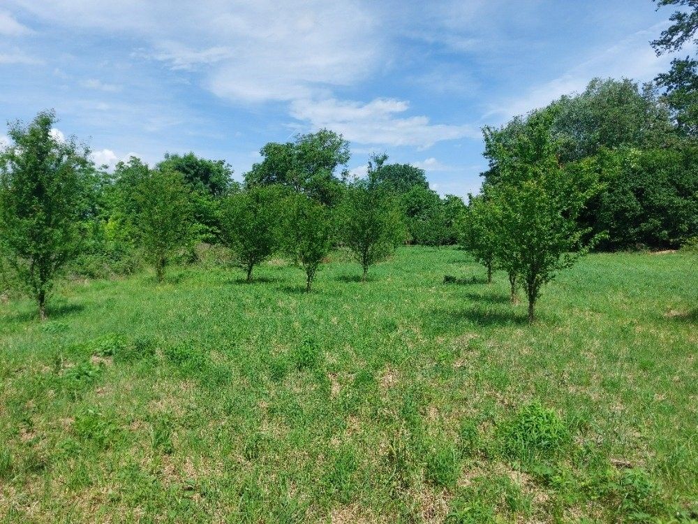 Pozemky pro bydlení, Rajhrad, 5 961 m²