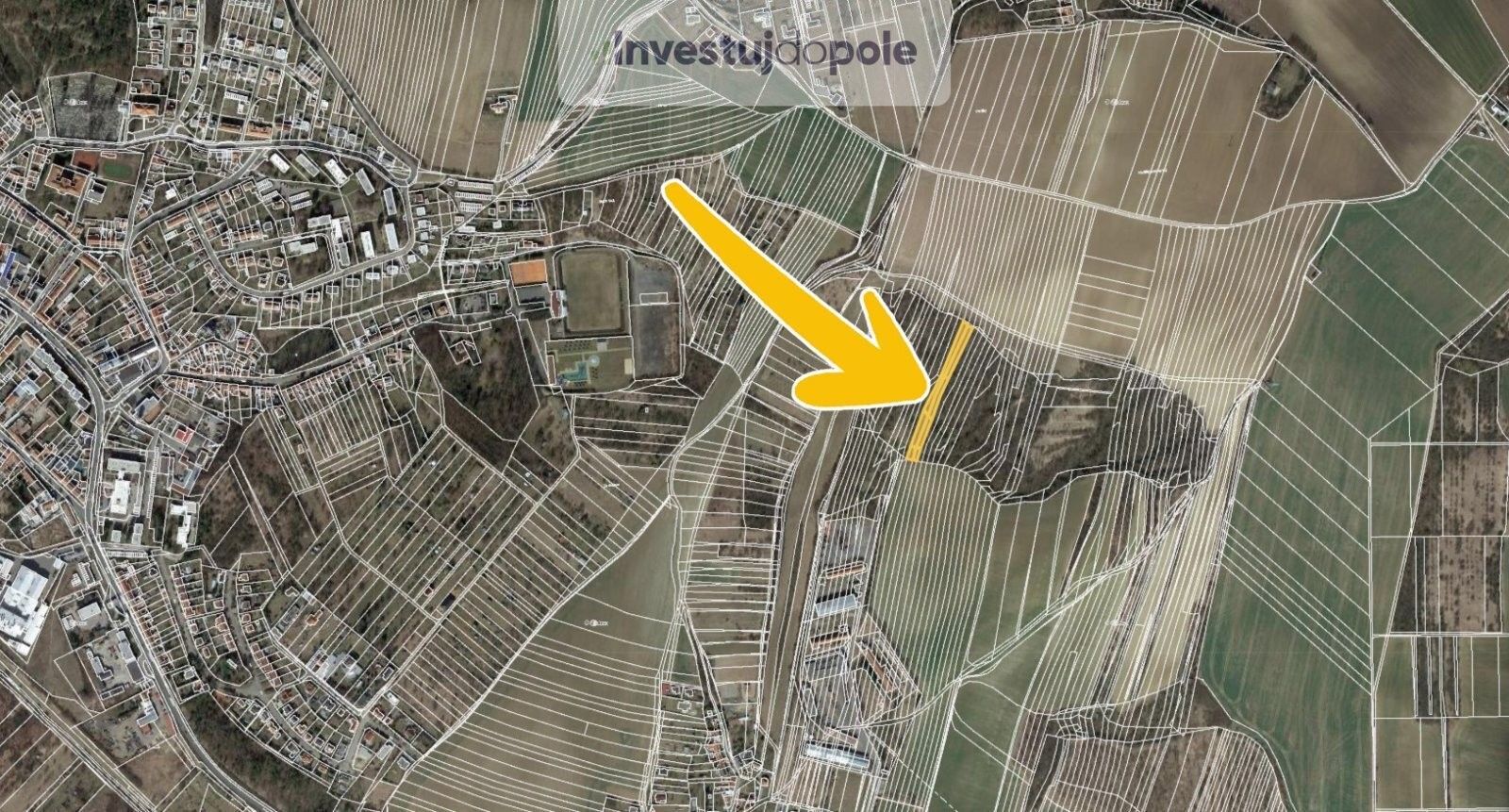 Prodej les - Vícemilice, Bučovice, 3 433 m²