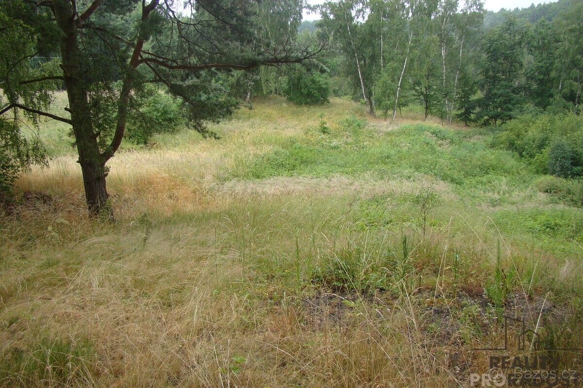 Zahrady, Krušovice, 270 53, 2 000 m²