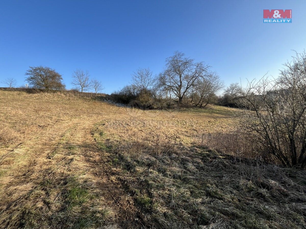 Prodej louka - Zruč nad Sázavou, 285 22, 10 890 m²