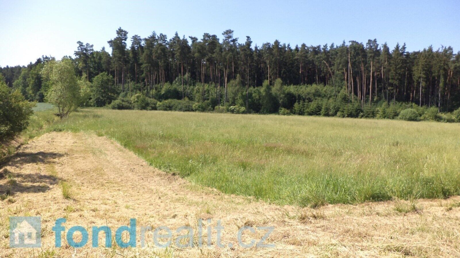 Prodej pozemek - Držkrajov, Přeštěnice, 3 046 m²