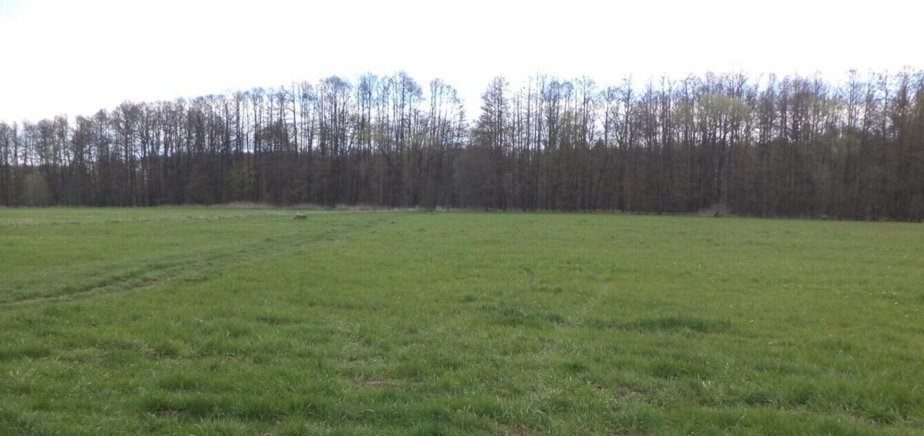 Zemědělské pozemky, Tachov, 45 730 m²