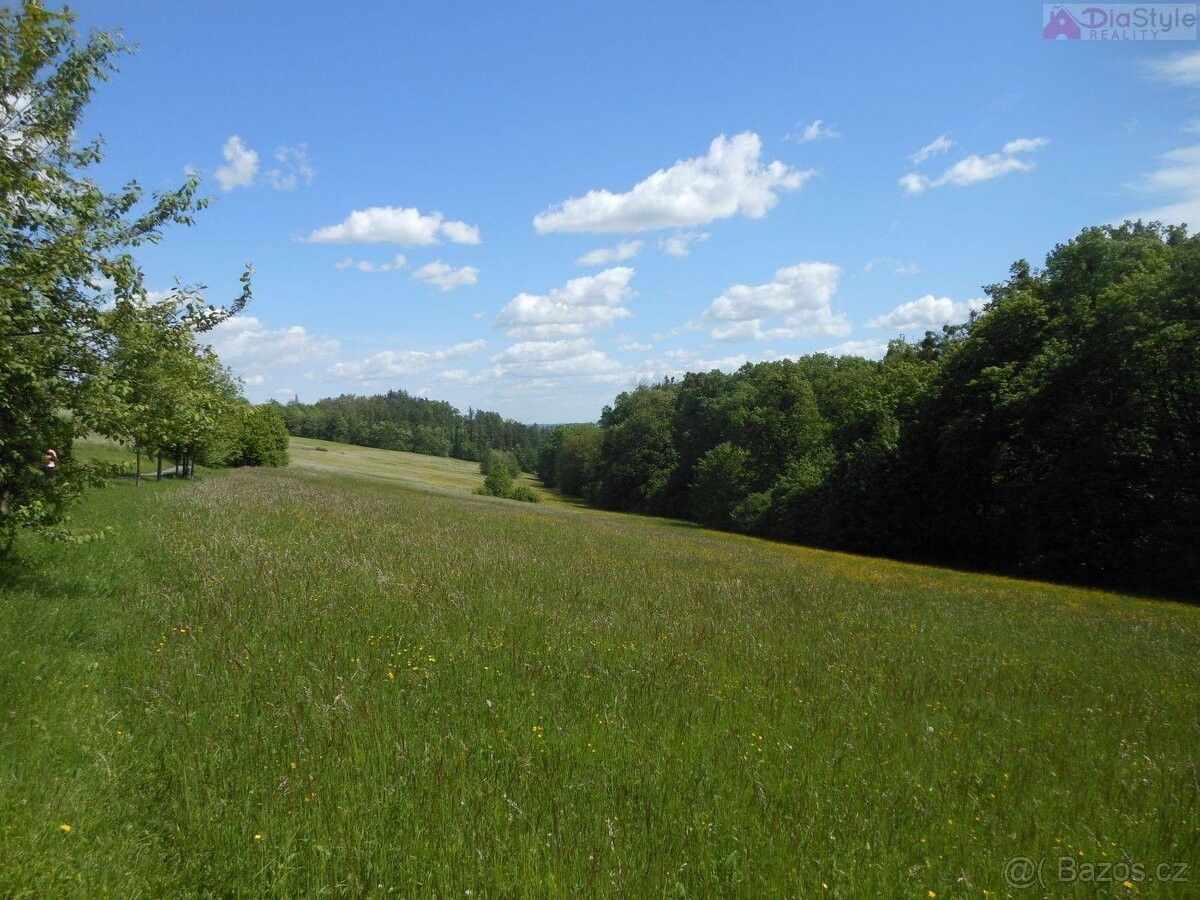 Ostatní, Nový Jičín, 741 01, 7 411 m²