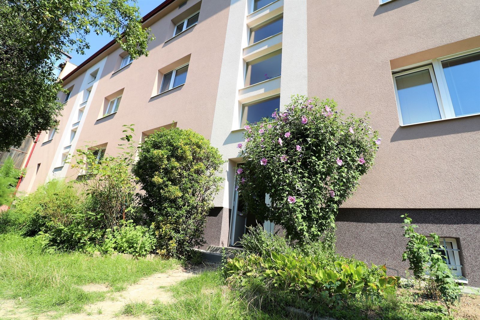 1+1, Cornovova, Brno, 50 m²