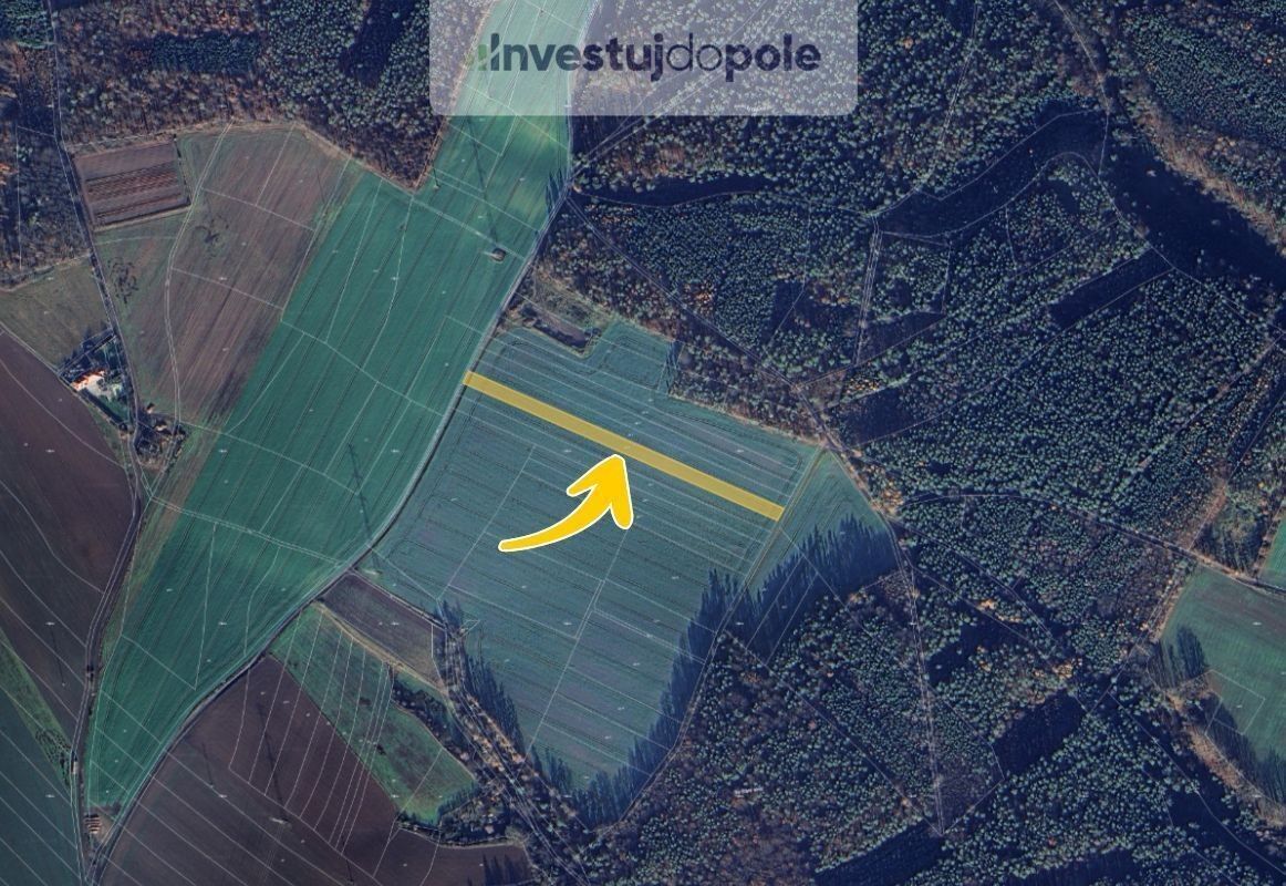 Prodej zemědělský pozemek - Dalešice, Bítouchov, 5 754 m²