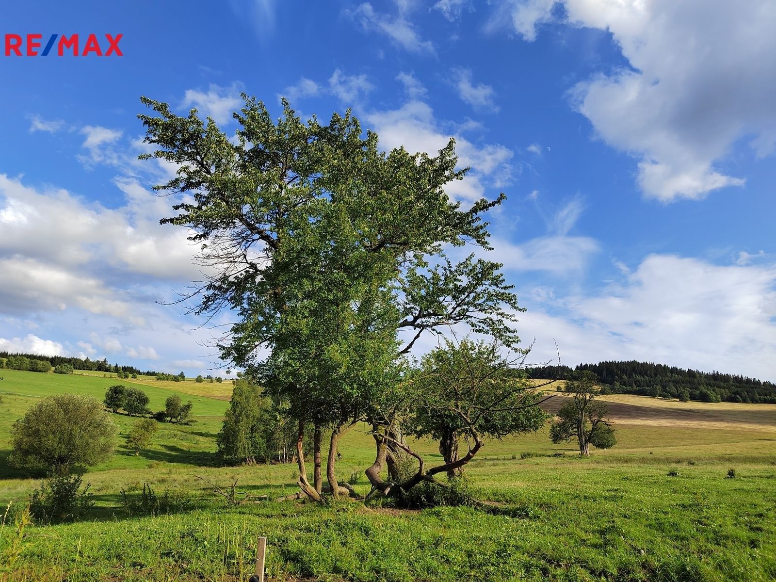 Pozemky pro bydlení, Malá Morava, 1 169 m²