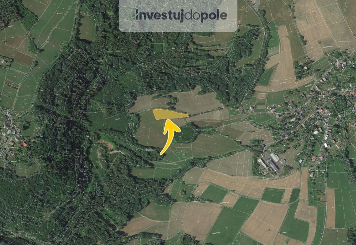Prodej louka - Horská Kamenice, Železný Brod, 2 016 m²