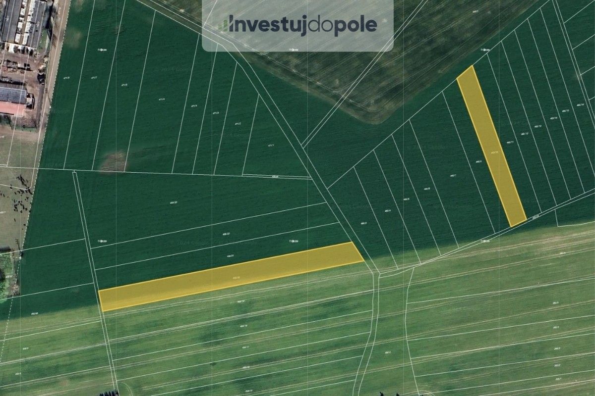 Zemědělské pozemky, Pardubice, 2 906 m²
