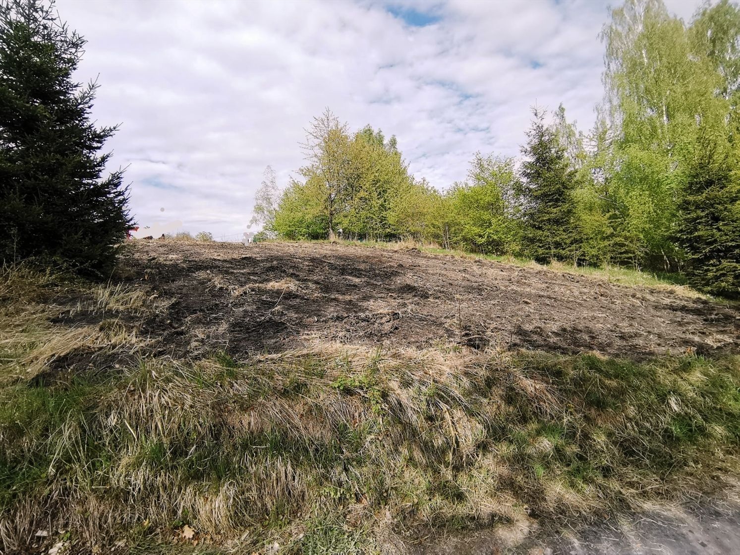 Zahrady, Na Holubíně, Rynholec, 1 044 m²
