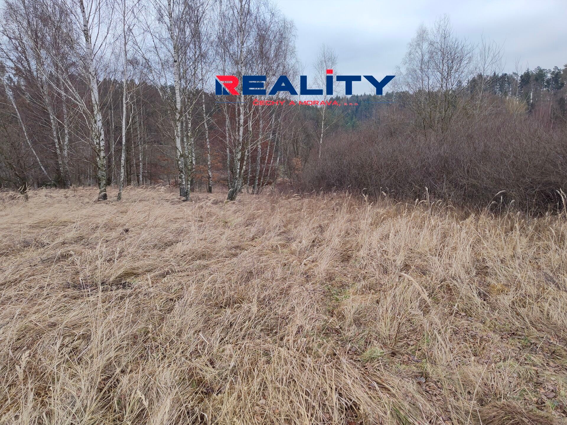 Zemědělské pozemky, Gruna, 4 899 m²