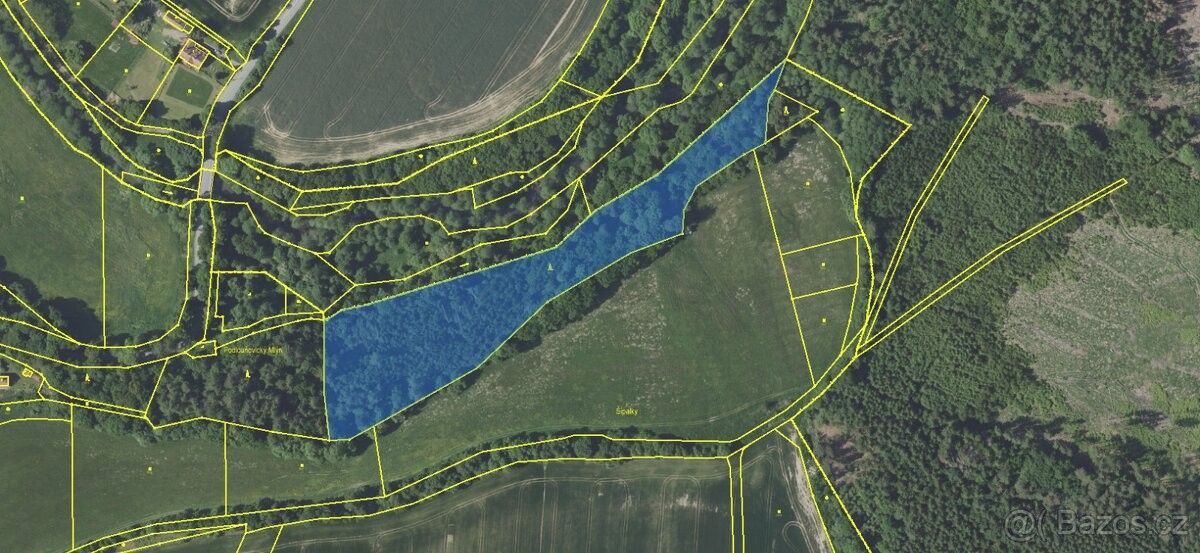 Prodej les - Louňovice pod Blaníkem, 257 06, 16 563 m²