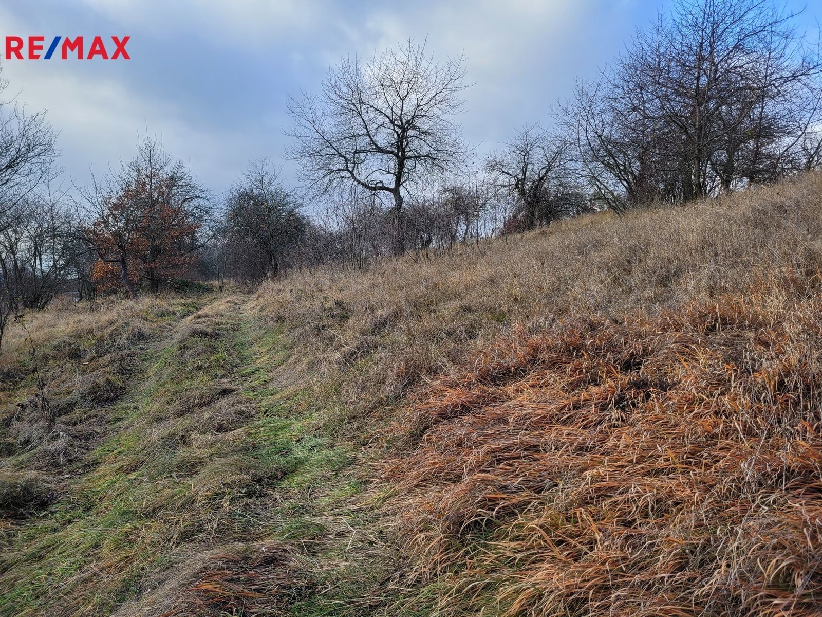 Prodej louka - Třebsko, 6 483 m²