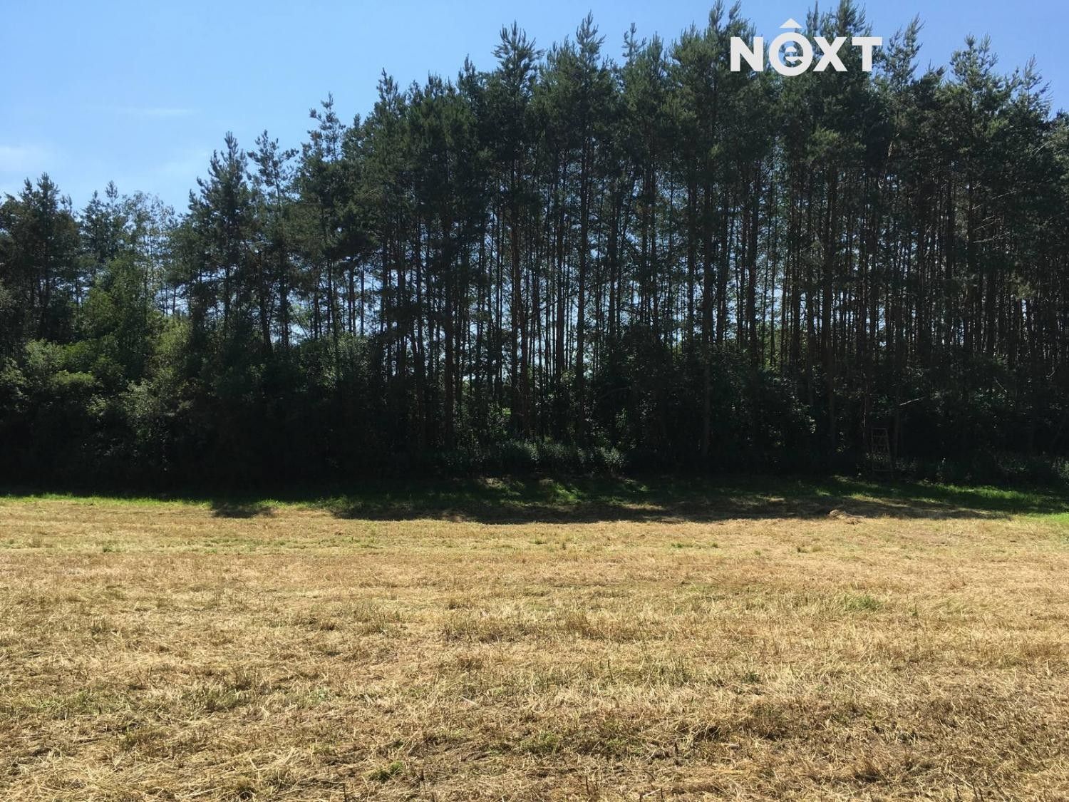 Prodej louka - Družec, 6 060 m²