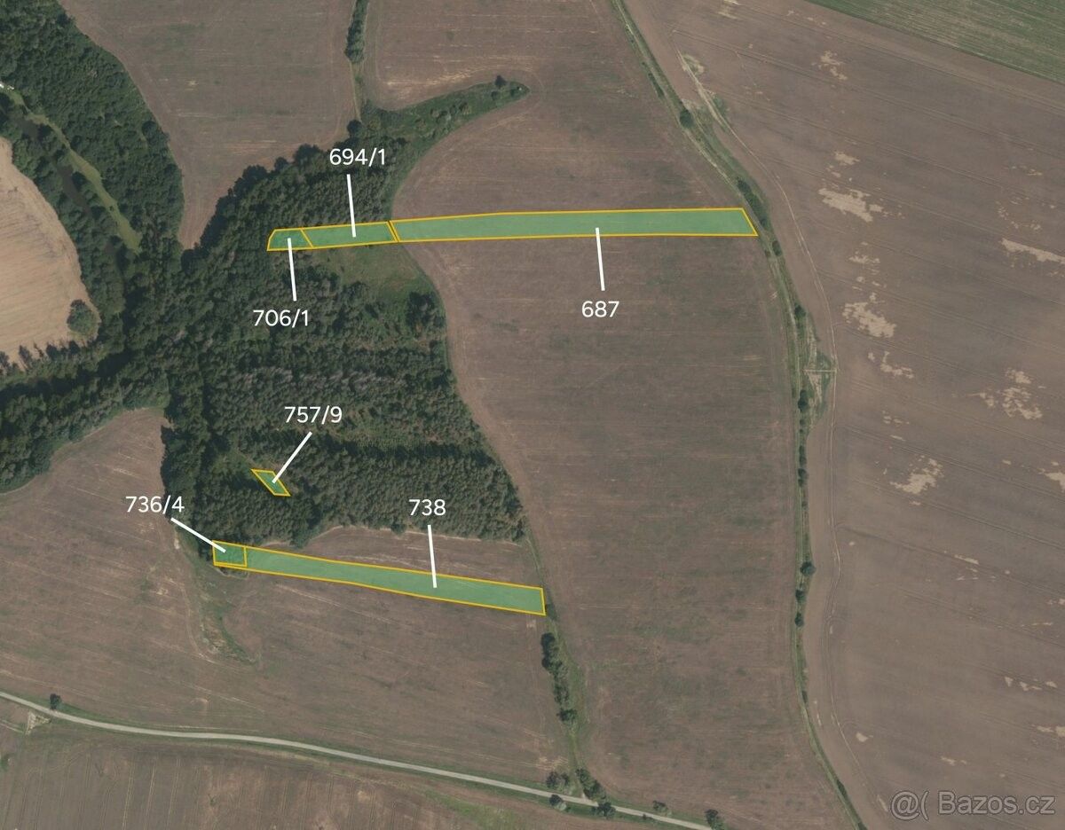 Prodej zemědělský pozemek - Bechyně, 391 65