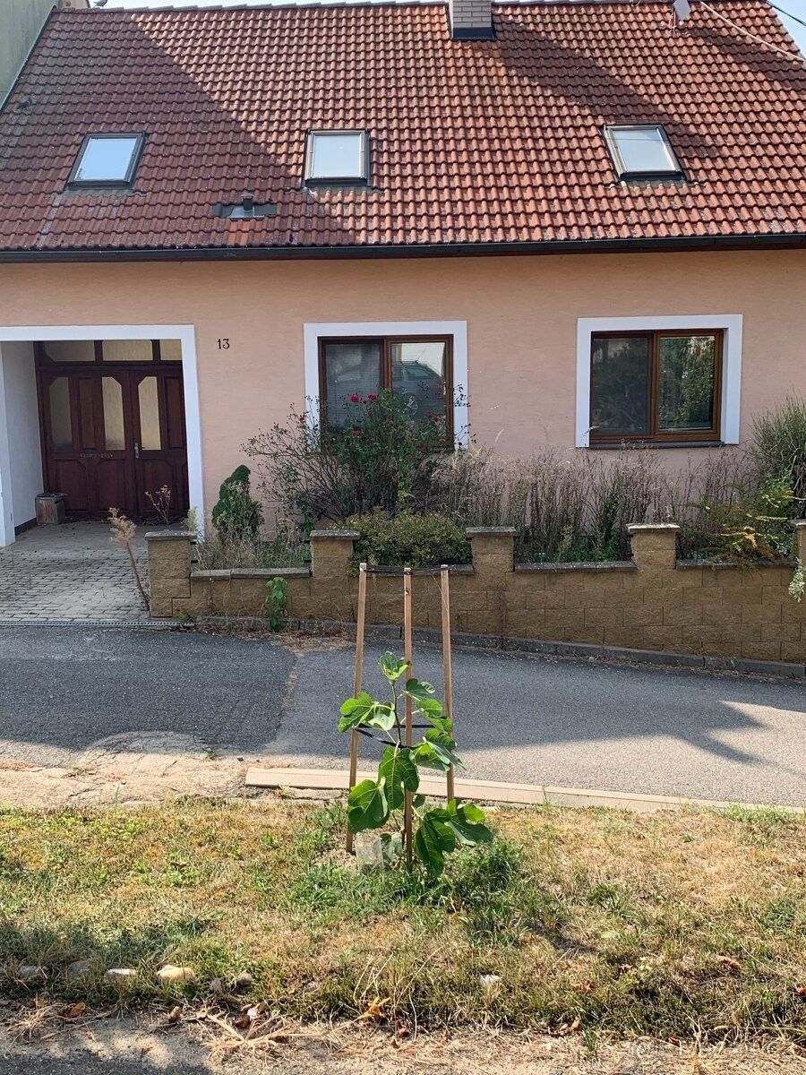 Ostatní, Pohořelice, 691 23, 1 184 m²