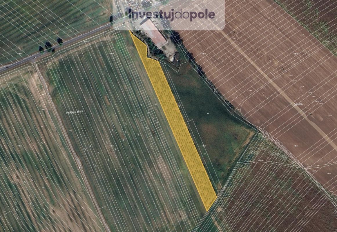 Ostatní, Šardice, 11 718 m²